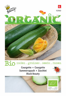 Courgette Black Beauty (BIO)