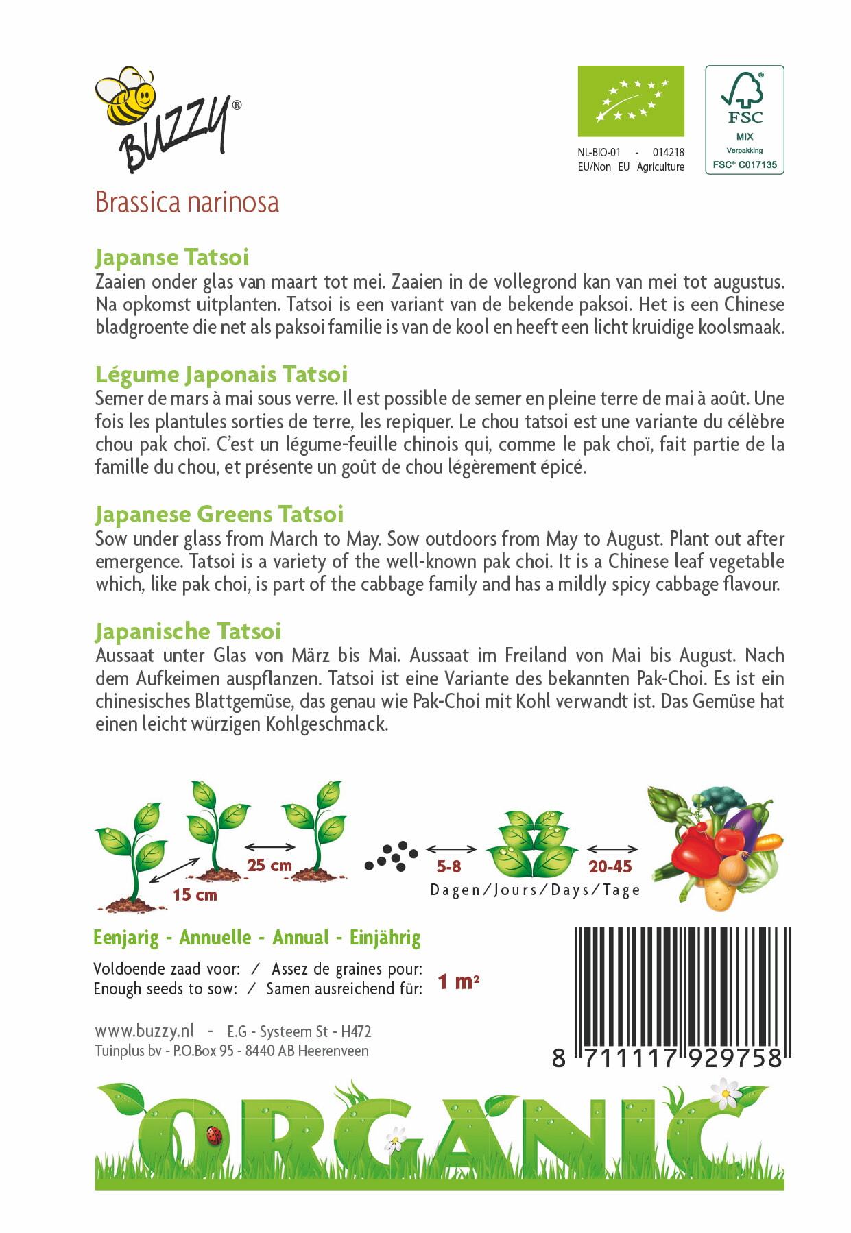 Tatsoi (BIO) - Zaden