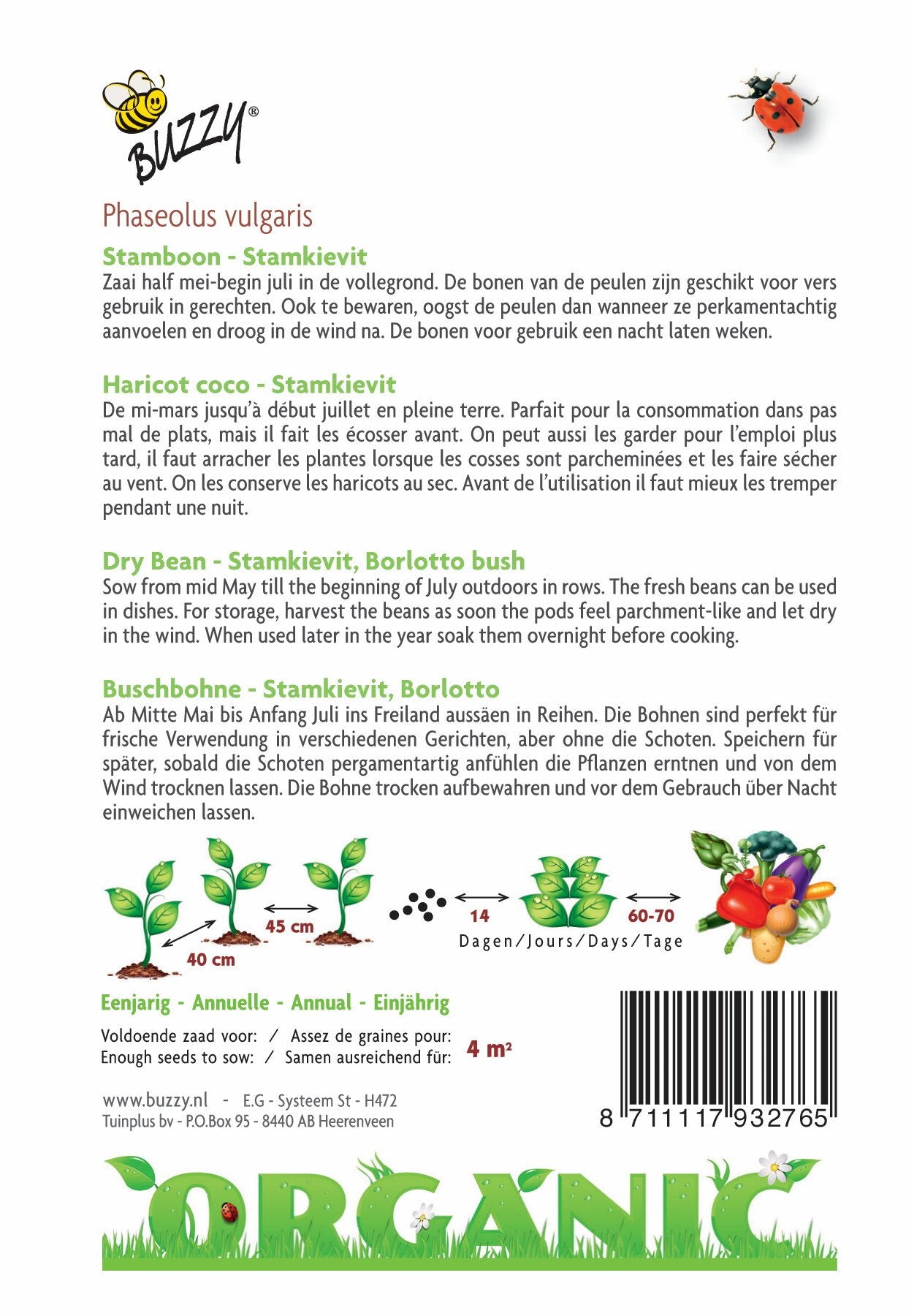 Stamslaboon Kievit laag (BIO) - Zaden