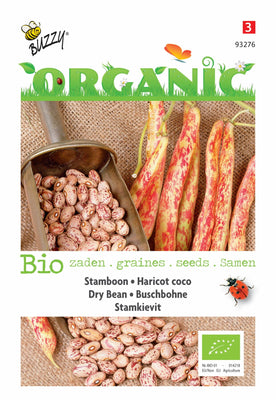 Läuferbohne Kiebitz niedrig (BIO)