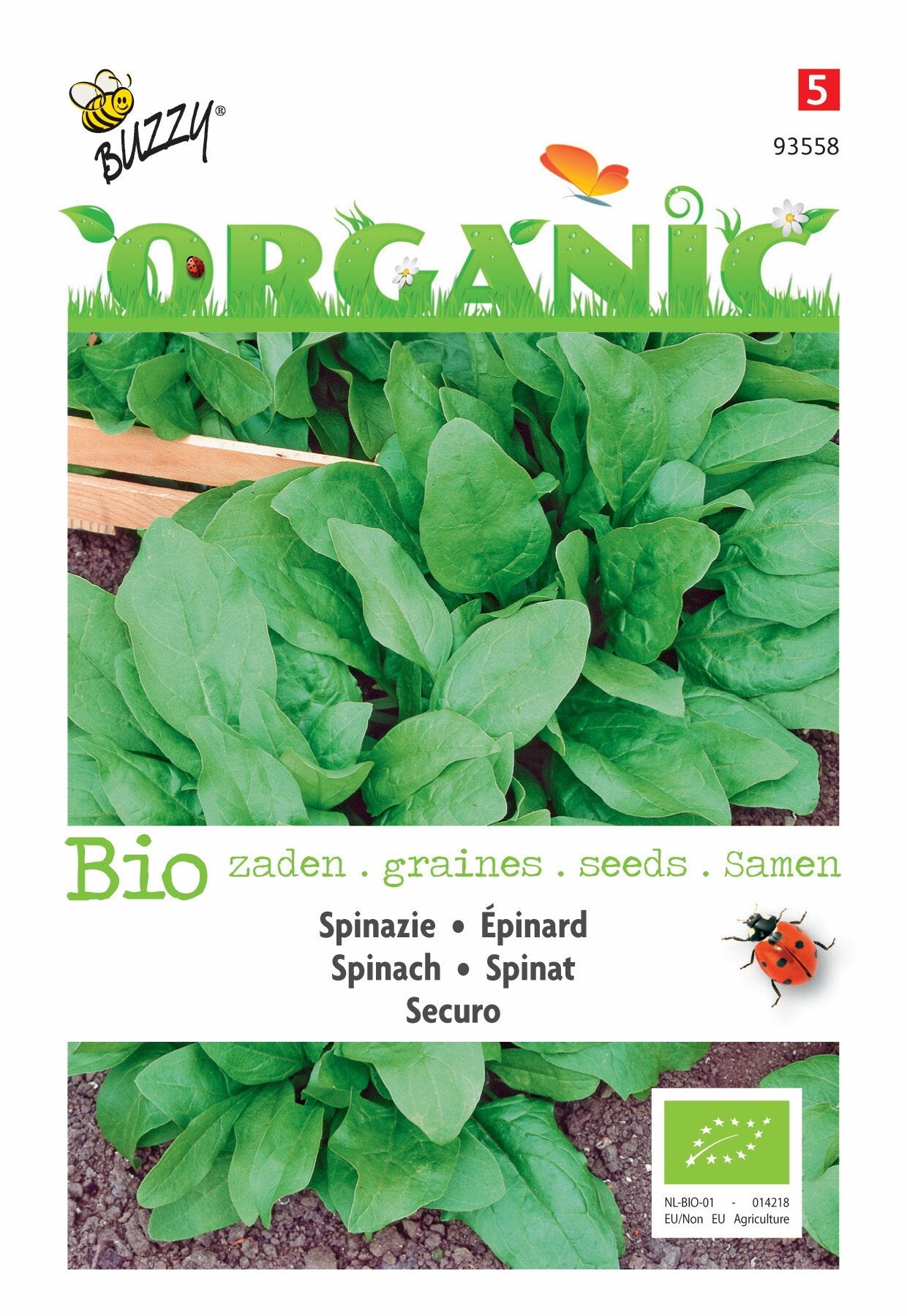 Spinat Securo (BIO) - Samen
