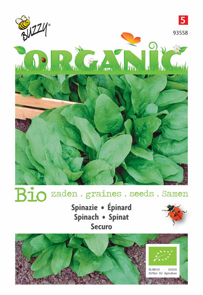 Spinat Securo (BIO) - Samen