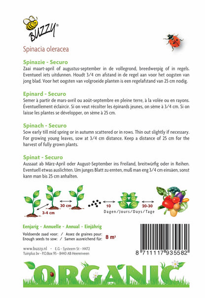 Spinat Securo (BIO) - Samen