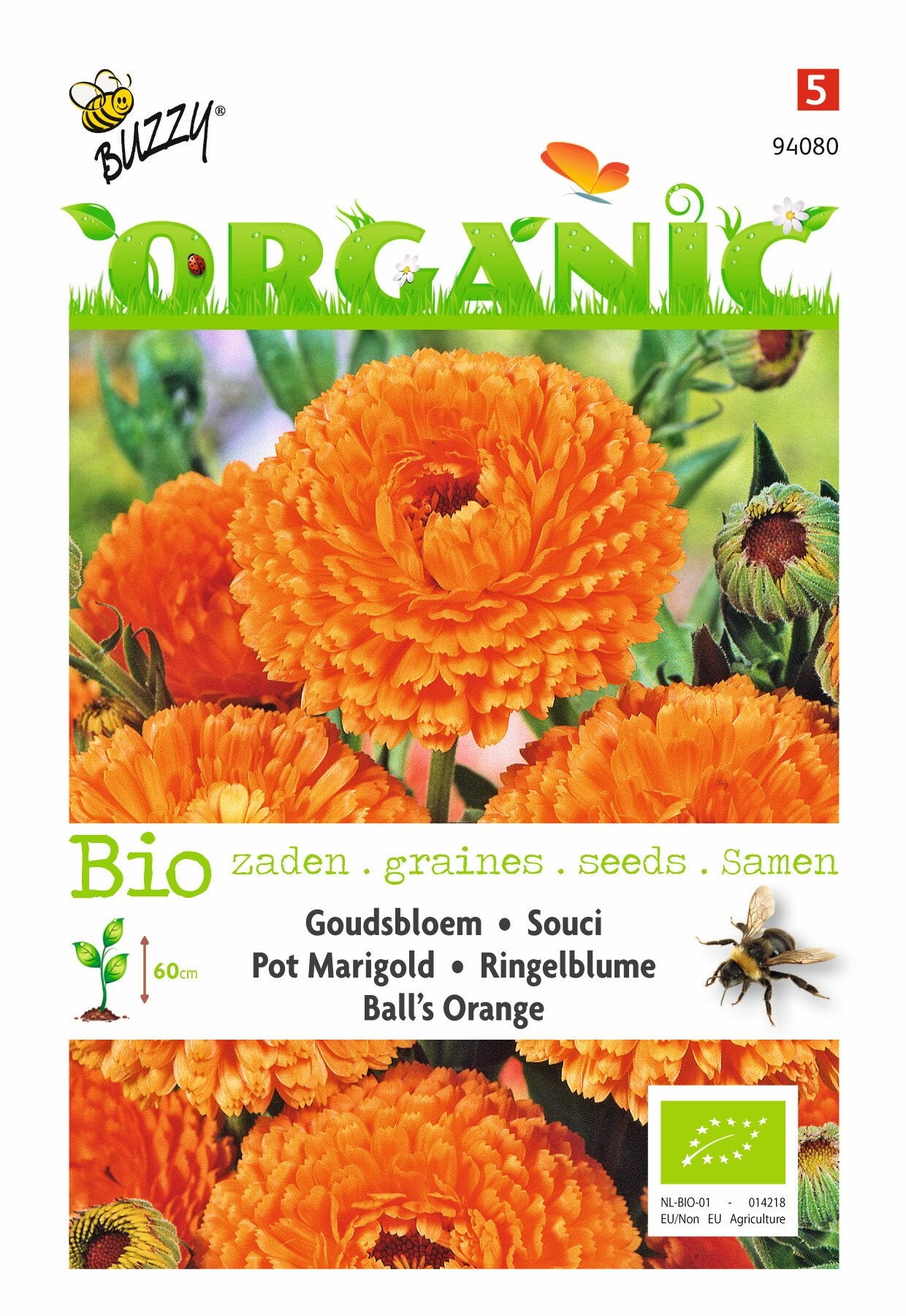 Ringelblume, Goudsbloem Ball's Orange (BIO) - Samen