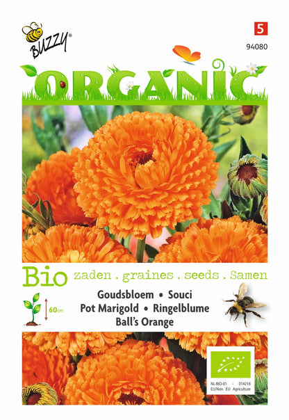 Ringelblume, Goudsbloem Ball's Orange (BIO) - Samen