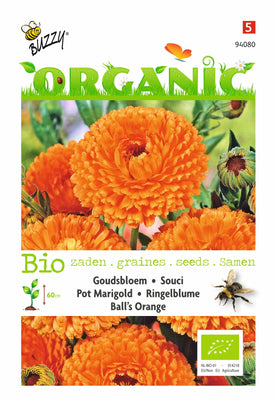 Ringelblume, Marigold Ball's Orange (BIO)