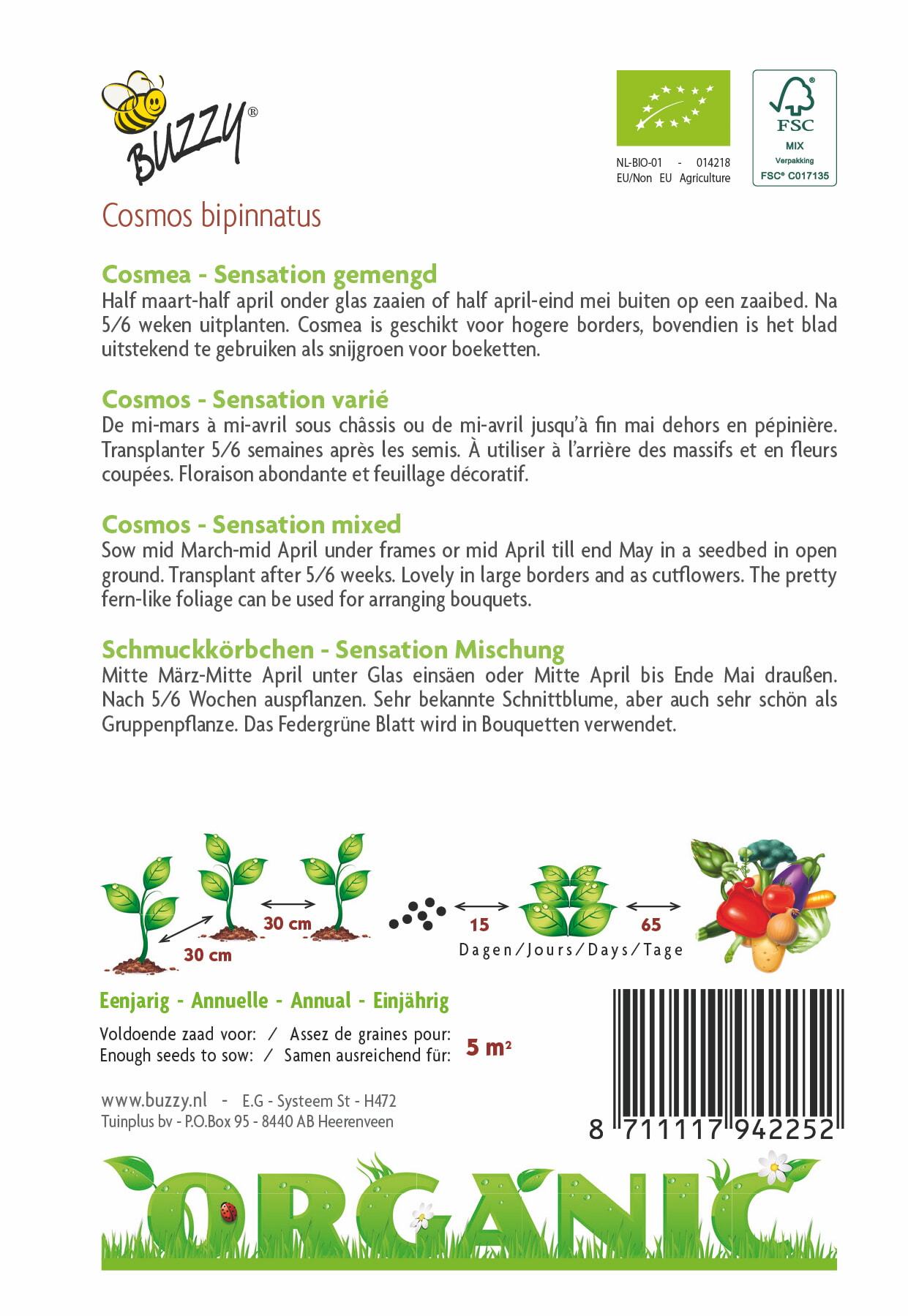 Cosmos Sensation (BIO) - Samen