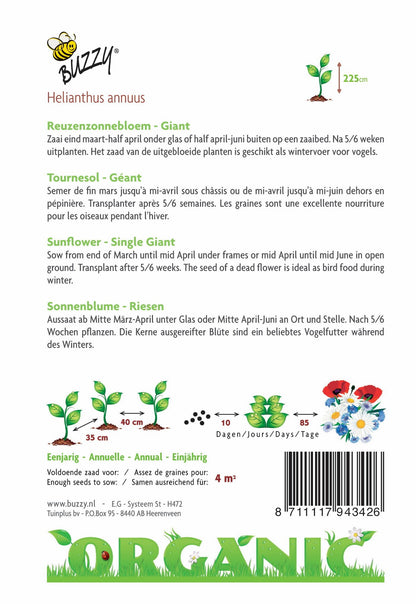 Helianthus, Riesensonnenblume giganteus (BIO) - Samen