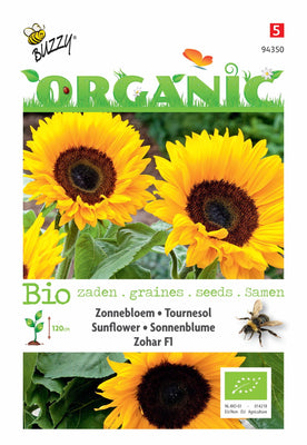 Helianthus, Sonnenblume Zohar F1 (BIO)