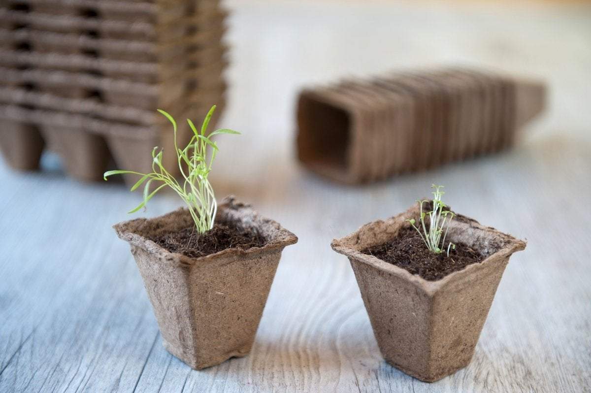 Afbreekbare potjes H6x6x6cm 16 stuks - Kweekbenodigdheden