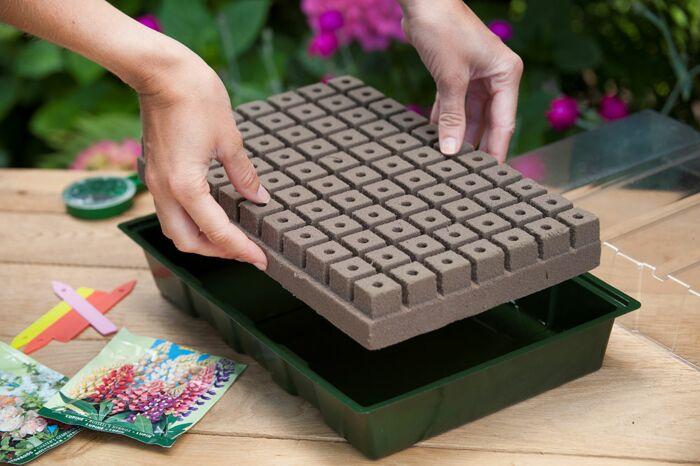 Kweekbakset incl. groeimedium H11x35x23,5cm (7x11 cellen) - Kweekbenodigdheden