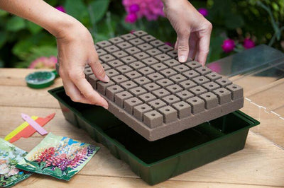 Anzuchtplatten-Set inkl. Anzuchtmedium H11x35x23,5cm (7x11 Zellen)