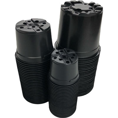 Wachstumspaket klein 5