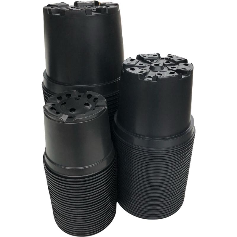 Zuchtpaket groß 3 -