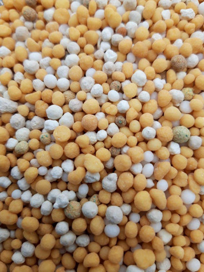 Sedum Conditioner - Groendak