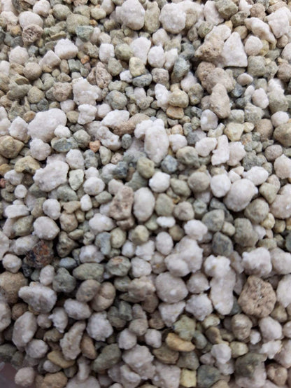 Sedum Stronger - Groendak