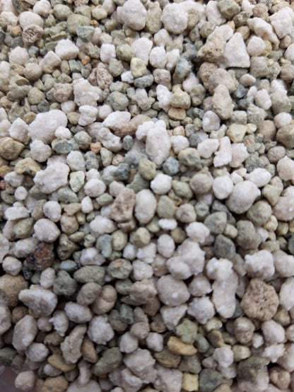 Sedum Stronger - Groendak