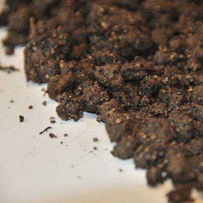 Daktuinsubstraat extenstief - Groendak