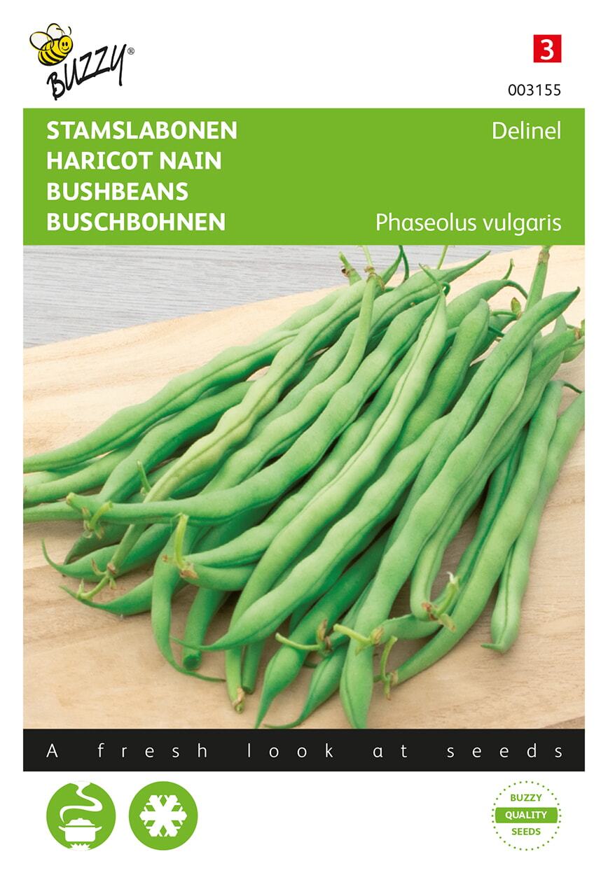 Stamslabonen Delinel - Zaden