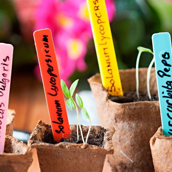 Steeketiketten gekleurd H10cm set à 40 stuks - Kweekbenodigdheden