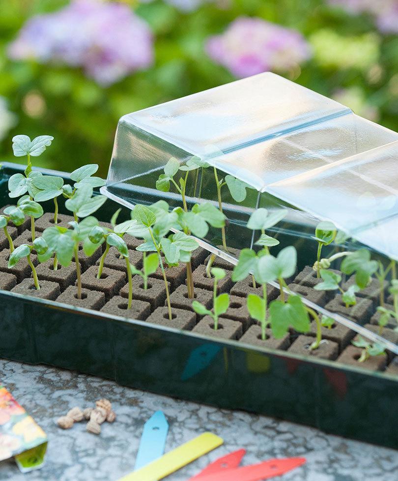 Vensterbankkweekset incl. groeimedium H10x49x15,5cm (4x16cellen) - Kweekbenodigdheden