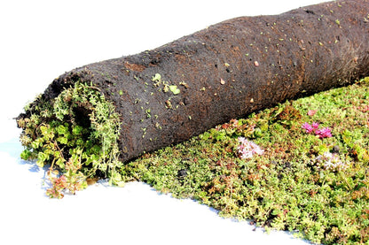 Sedummix lichtgewicht pakket - 1m2 - Groendak