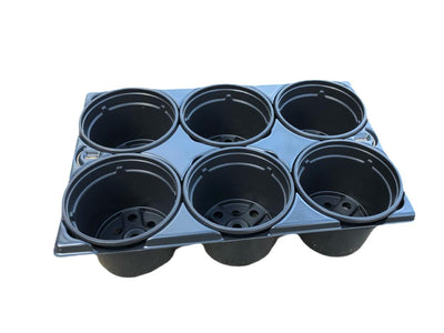 Anzuchtschale mit 6 Töpfen – 9 cm